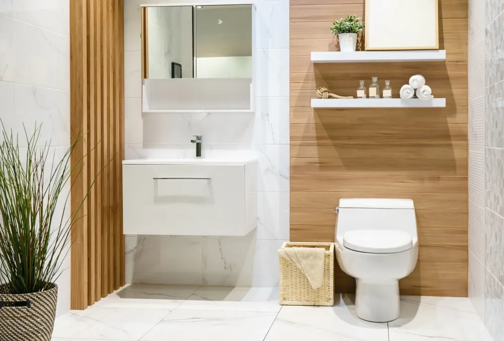 salle de bains et sanitaires (3)